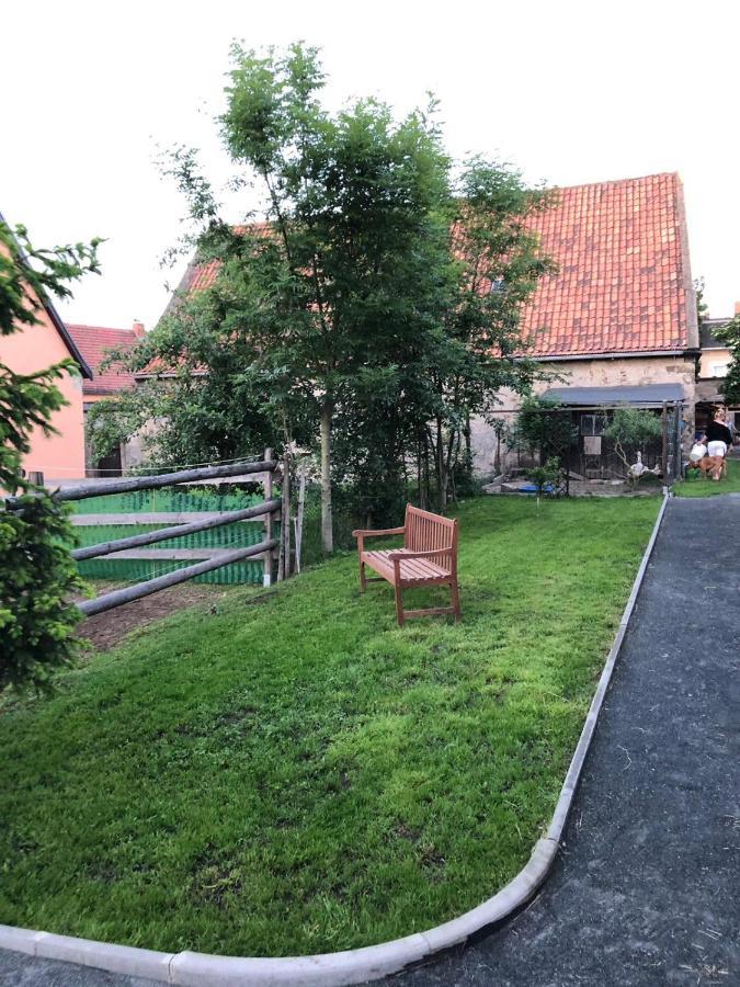 Ferienwohnung Gans Auguste Dohna المظهر الخارجي الصورة