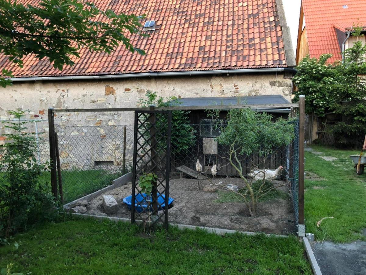 Ferienwohnung Gans Auguste Dohna المظهر الخارجي الصورة